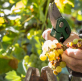 Rethinking our growth obsession through a sustainability lens