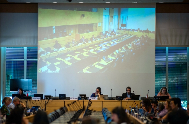 UN body slams Pakistan for human rights violations
