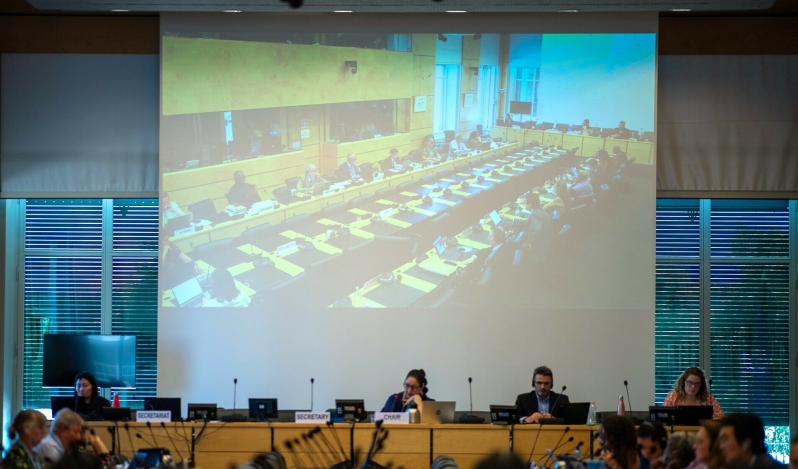 UN body slams Pakistan for human rights violations