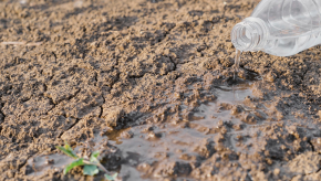 With water a diminishing resource it is better that we drink so we never thirst again