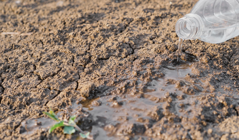 With water a diminishing resource it is better that we drink so we never thirst again
