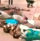 Herdsmen kill 33 Christians in Nigeria on Christmas Day