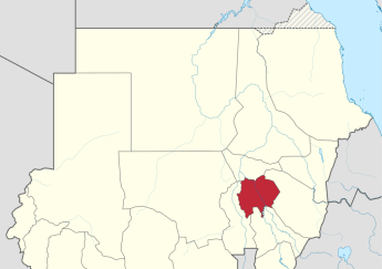 Church prayer service attacked in Sudan, injuring 14 Christians