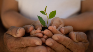 Do you approach life with a growth or fixed mindset?