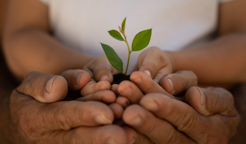 Do you approach life with a growth or fixed mindset?