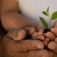 Do you approach life with a growth or fixed mindset?