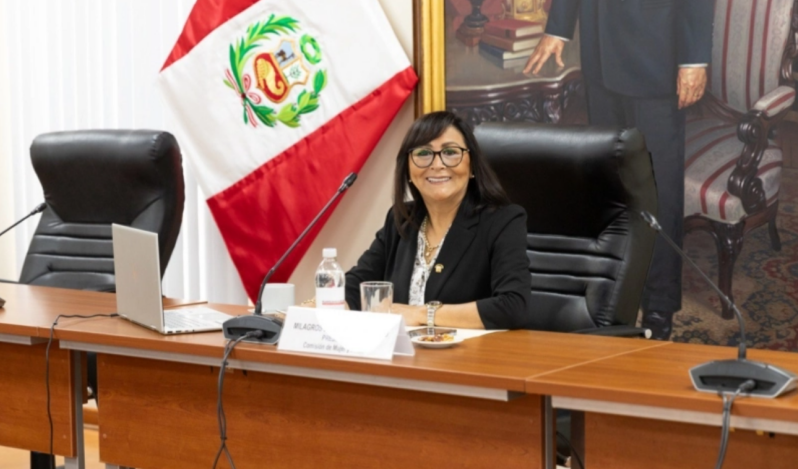 Peruvian lawmaker proposes eliminating 'femicide' charge, sparks controversy
