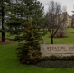 Wheaton alumni single out 'critical race theorist' professor as example of leftist infiltration