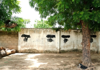Boko Haram kills seven Christians in Borno state, Nigeria