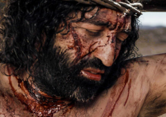 Did Jesus experience disability?