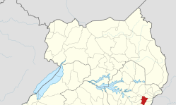 Evangelist who led Muslims to Christ slain after gospel event