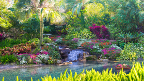 A call to remember that our promised future is a garden with God the master gardener