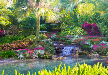 A call to remember that our promised future is a garden with God the master gardener