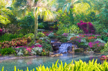 A call to remember that our promised future is a garden with God the master gardener