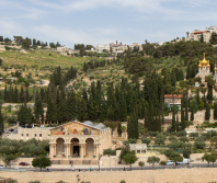 When holy places are spat upon: a cry from a Christian pastor and leader in Jerusalem