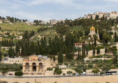 When holy places are spat upon: a cry from a Christian pastor and leader in Jerusalem