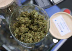 New study links marijuana to heart failure, echoing Christian medical professionals’ long-standing warnings against recreational use