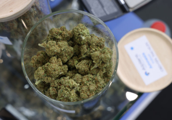 New study links marijuana to heart failure, echoing Christian medical professionals’ long-standing warnings against recreational use