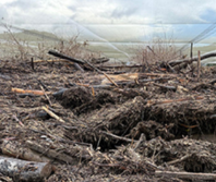 New Zealand Christian Network calls for prayer amid Nelson Tasman flood recovery