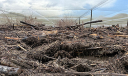 New Zealand Christian Network calls for prayer amid Nelson Tasman flood recovery