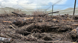New Zealand Christian Network calls for prayer amid Nelson Tasman flood recovery