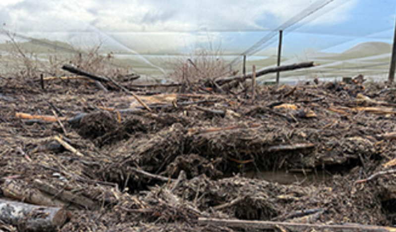 New Zealand Christian Network calls for prayer amid Nelson Tasman flood recovery