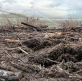 New Zealand Christian Network calls for prayer amid Nelson Tasman flood recovery