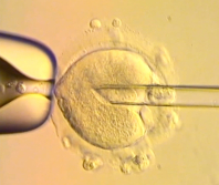 UK babies born using DNA from three people raise ethical questions