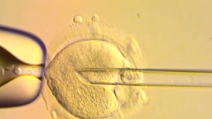 UK babies born using DNA from three people raise ethical questions