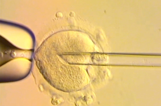 UK babies born using DNA from three people raise ethical questions