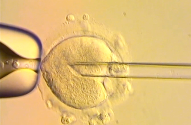 UK babies born using DNA from three people raise ethical questions