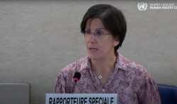 UN expert warns gender ideology undermines protections for women and girls: ‘You cannot protect what you cannot define’