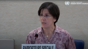 UN expert warns gender ideology undermines protections for women and girls: ‘You cannot protect what you cannot define’