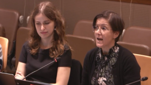 Surrogacy industry dehumanizes women and children, should be banned globally, UN expert says