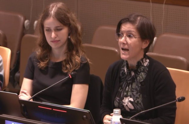 Surrogacy industry dehumanizes women and children, should be banned globally, UN expert says