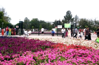 Blind Christian in Pakistan charged with blasphemy