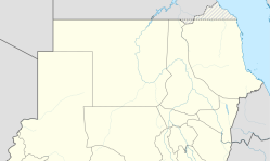 Sudan detains Christian physician for his faith