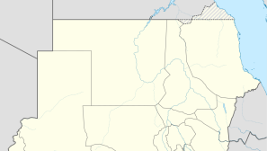 Sudan detains Christian physician for his faith
