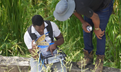 Attempts to block anti-corruption probe in Jamaica undermines public trust, say church organizations