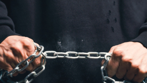 A thought for the new year: those who don’t move, don’t notice their chains