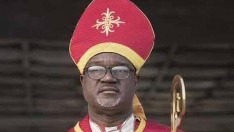 Nigeria’s Lutheran archbishop elected TEKAN president as predecessor dies in Denmark