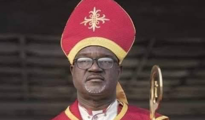 Nigeria’s Lutheran archbishop elected TEKAN president as predecessor dies in Denmark