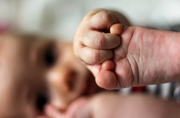 73 million defenseless people were killed last year. Here’s why