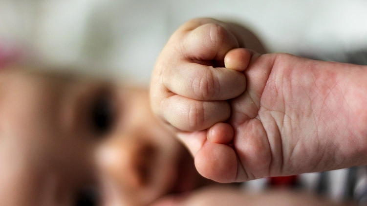 73 million defenseless people were killed last year. Here’s why
