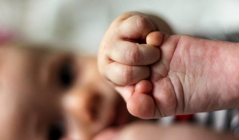 73 million defenseless people were killed last year. Here’s why