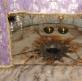 Bethlehem site thought to be Christ's birthplace will be restored for first time in centuries