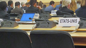 Why the United Nations needs saving