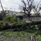 Madagascar churches mobilize as Cyclone Gezani death toll approaches 40