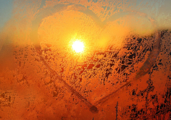 What is real love actually