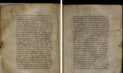New digital platform expands access to ancient New Testament manuscripts